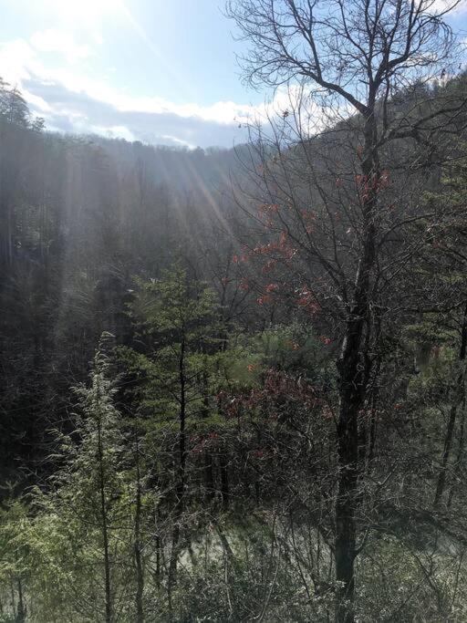 Little Cabin All To Yourself Sevierville Exterior photo